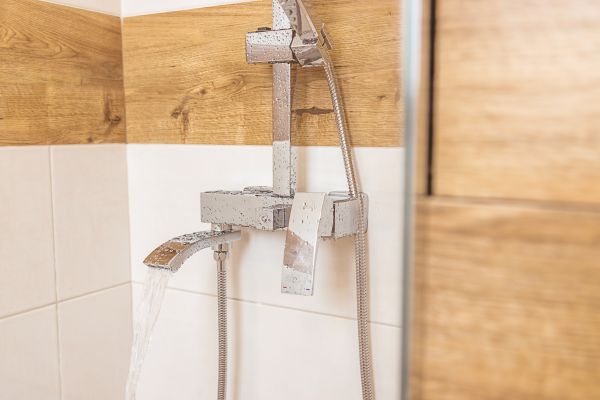 Shower Plumbing Installation in Palm Harbor